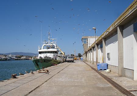 Porto de Pesca Portimão