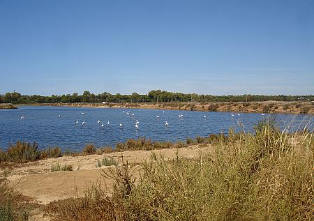 Ria Formosa