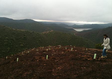 Barragem de Odelouca